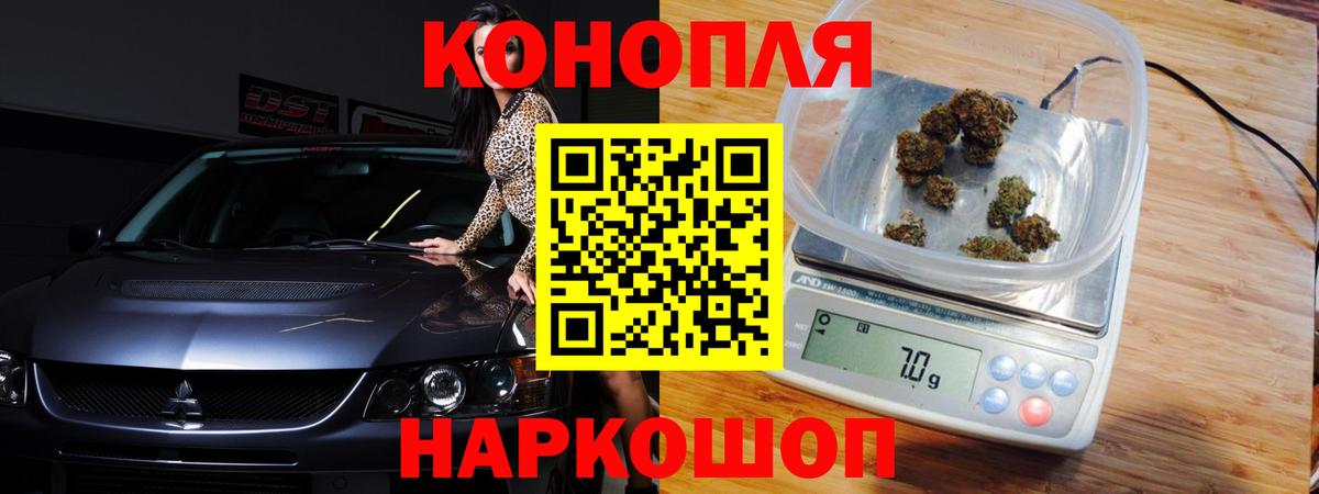 Великий Новгород  Бошки Шишки ГИДРОПОН  Каннабис планчик  Вход с VPN 